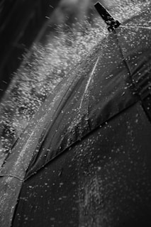 A beautiful black-and-white photograph of a child playing in the rain.