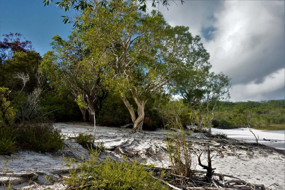 Nature reserve photo spot Lake McKenzie Australia