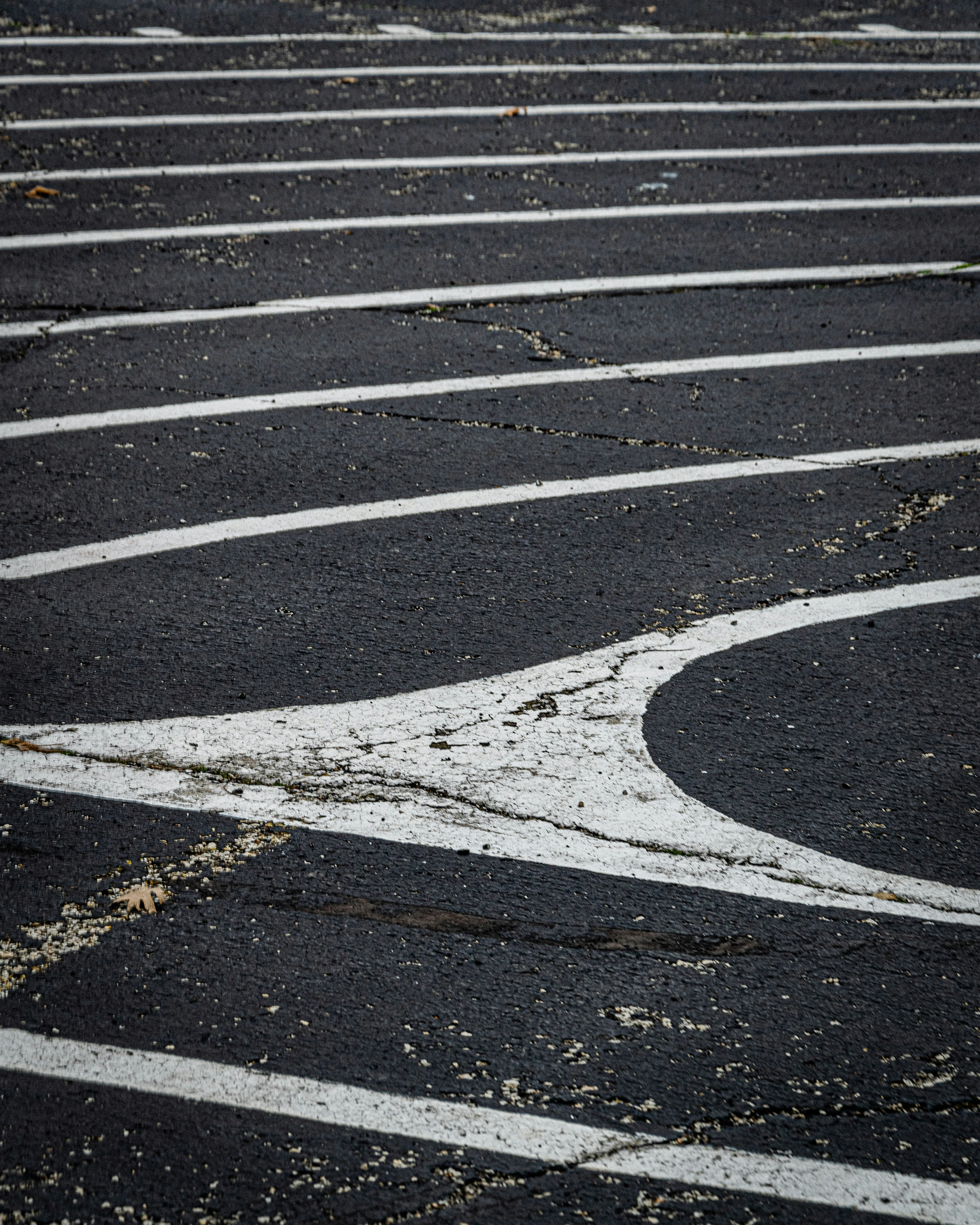 Photo by framesforyourheart