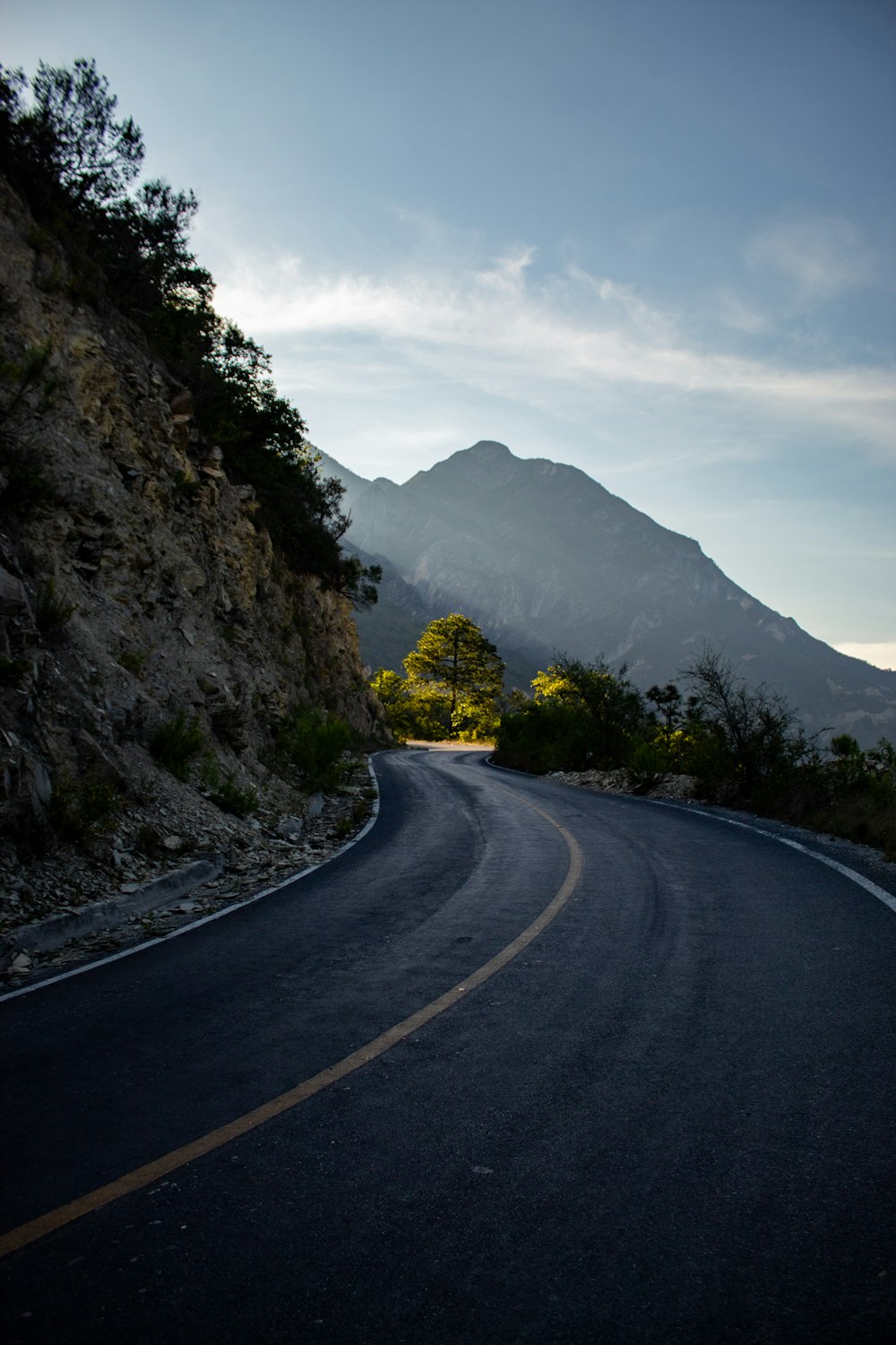 gray concrete road between green trees during daytime