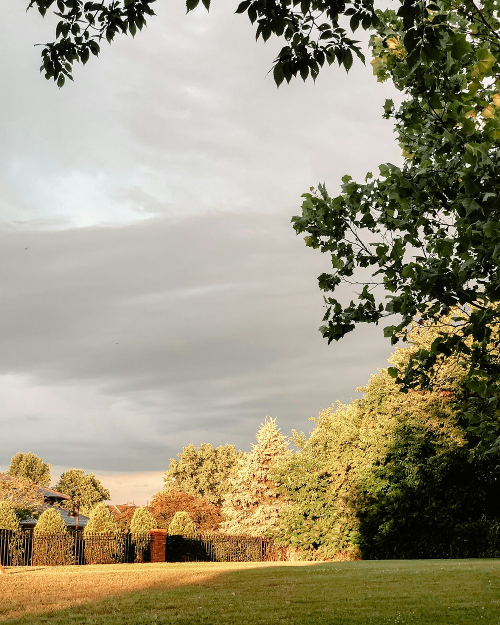 green and yellow trees under white clouds during daytime