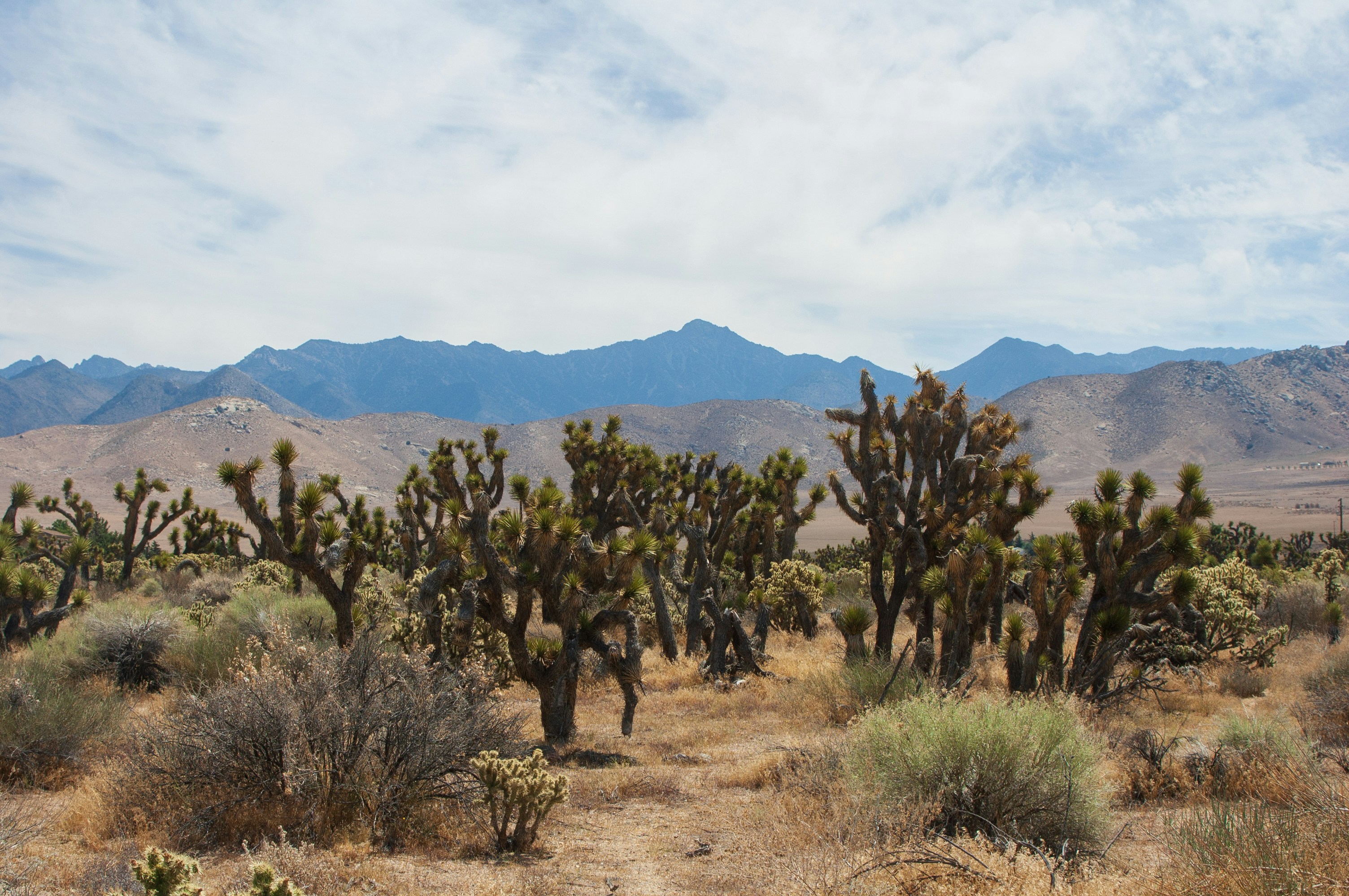 Photo by brianwangenheim