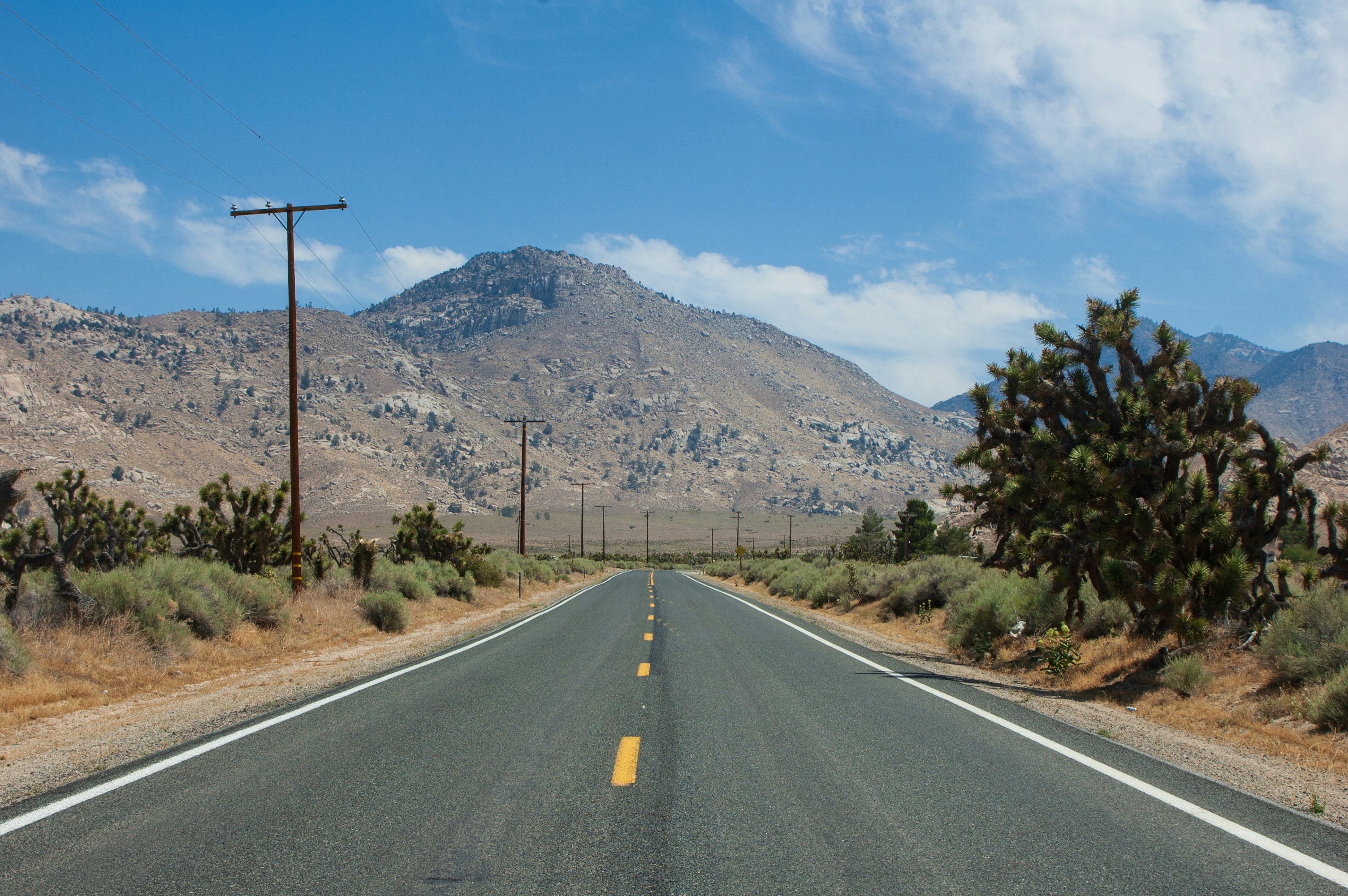 Photo by brianwangenheim