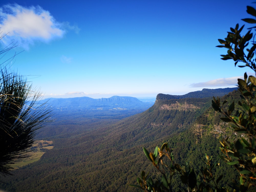 green trees on mountain under blue sky during daytime