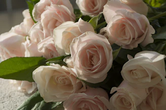 A lush bouquet of 36 pink and lilac roses wrapped in soft pastel paper, glowing gently in natural light.