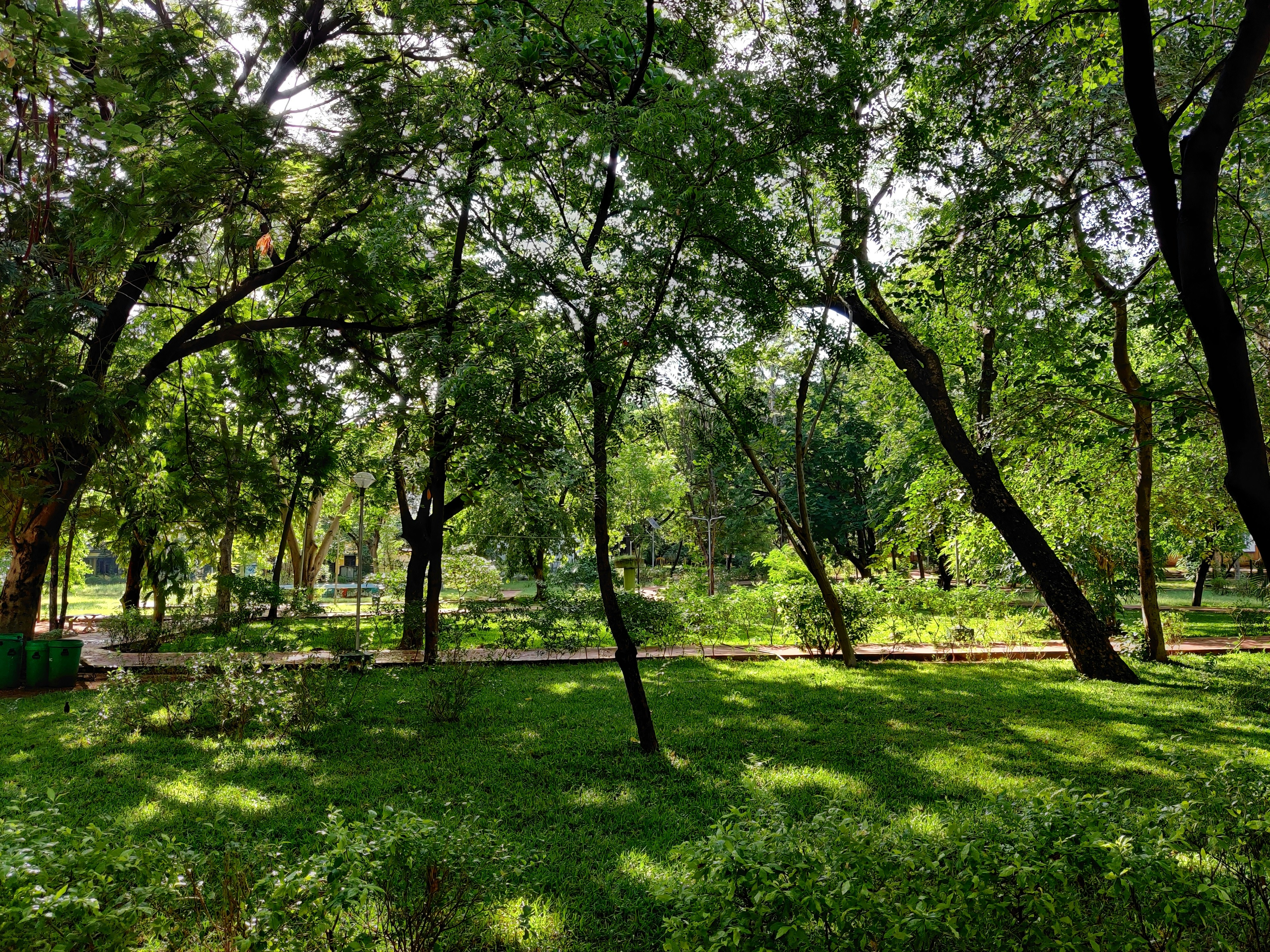 Photo by ramesh_photos