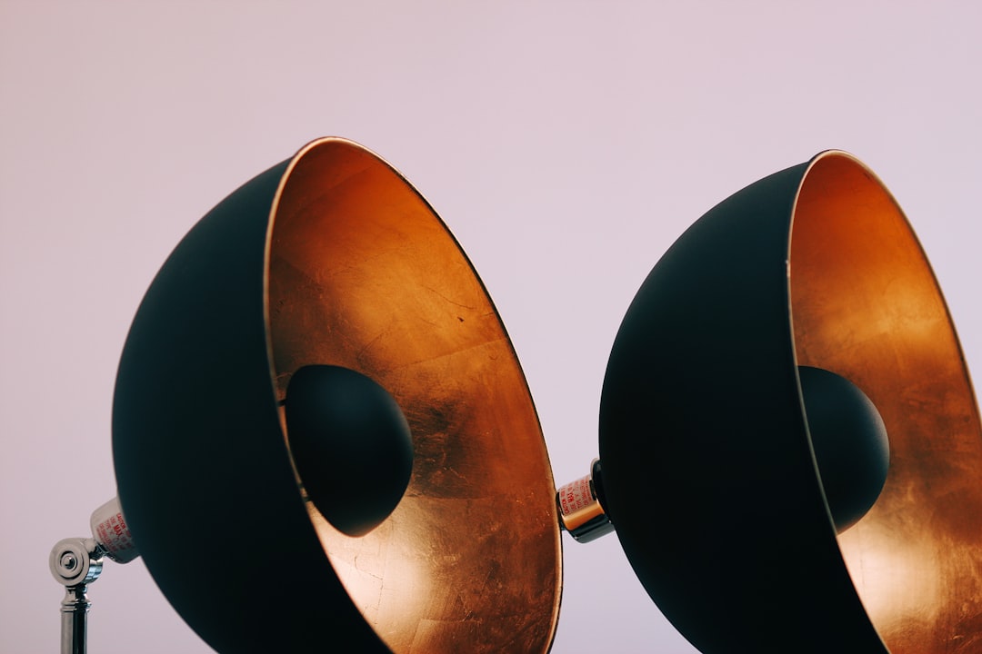 black and brown pendant lamp