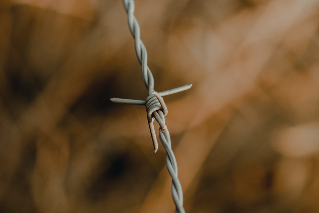 gray barbwire in tilt shift lens