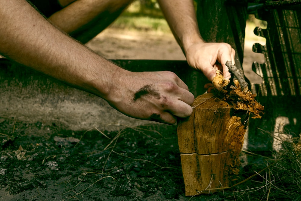 persona sosteniendo un tronco de madera marrón