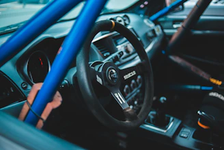 Interior shot showing the roll cage and safety harnesses inside the rally car.