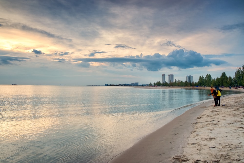 body of water near green trees under white clouds during daytime