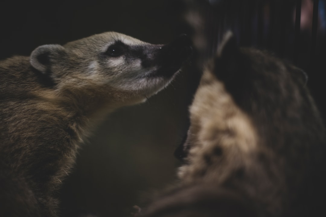 Wildlife photo spot Санкт-Петербург Saint Petersburg