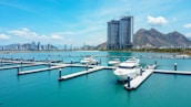 A panoramic view of Valencia marina filled with various yachts under a clear blue sky.