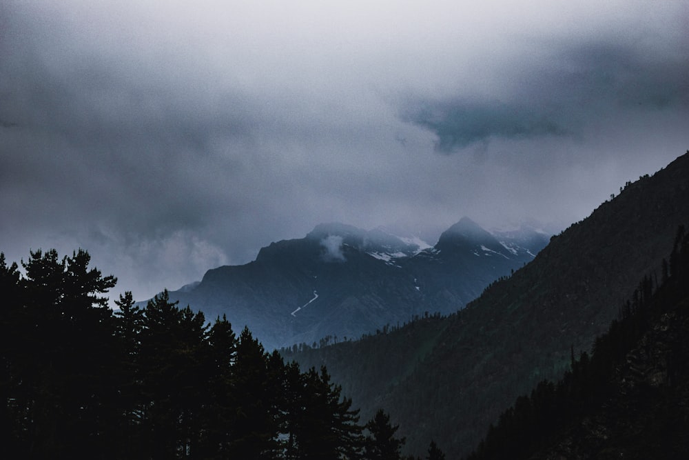 green trees and mountains under white clouds