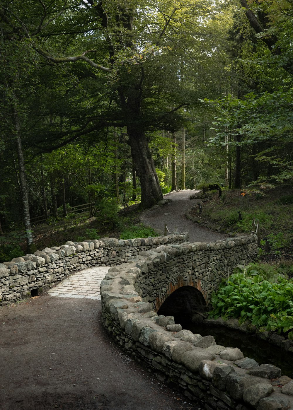 gray concrete pathway between green trees during daytime