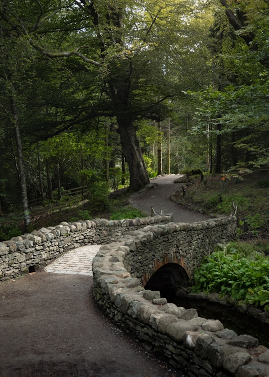 gray concrete pathway between green trees during daytime in Keswick United Kingdom