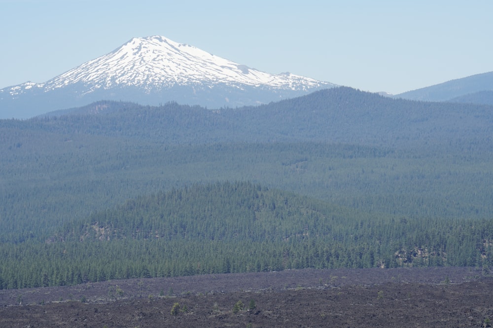 green trees near mountain under white sky during daytime