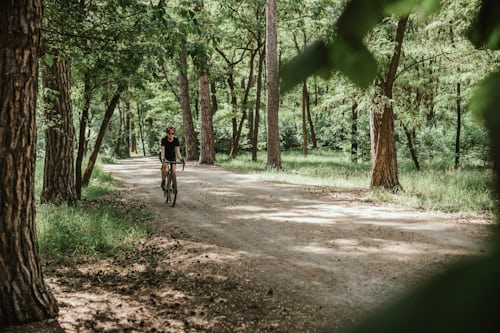 Gravel biker riding through a forest