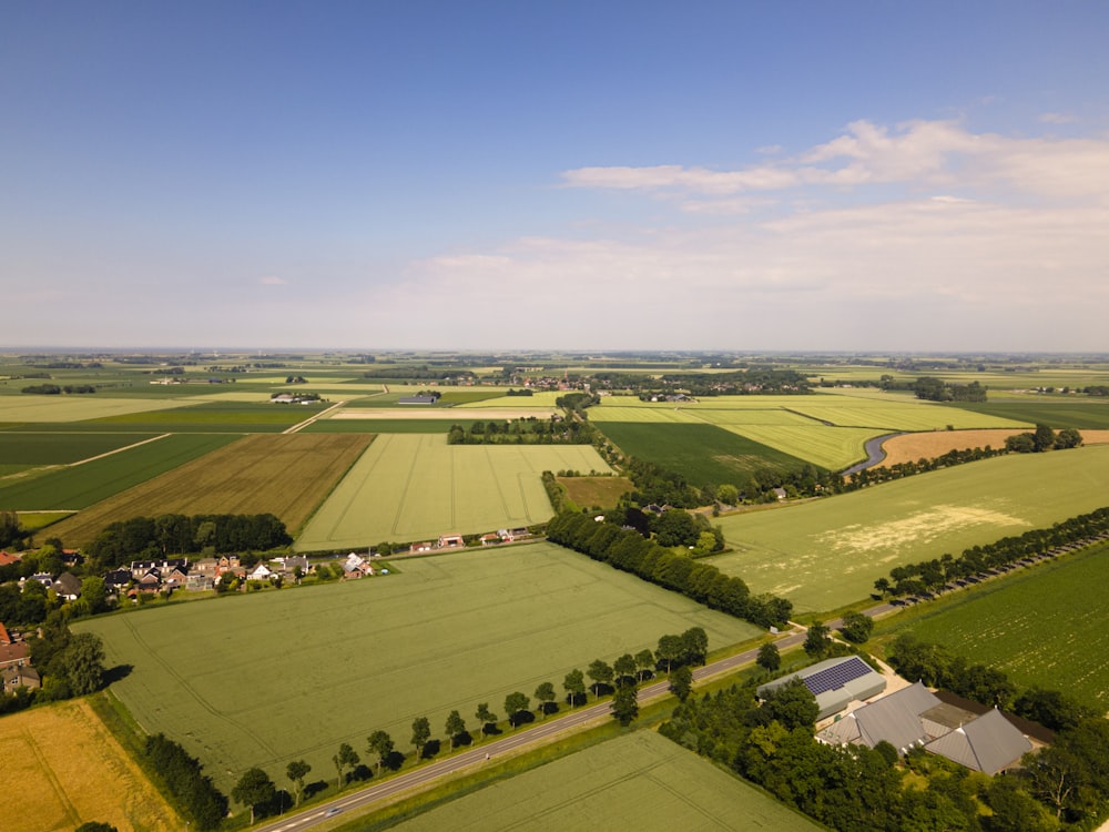 green grass field under blue sky during daytime