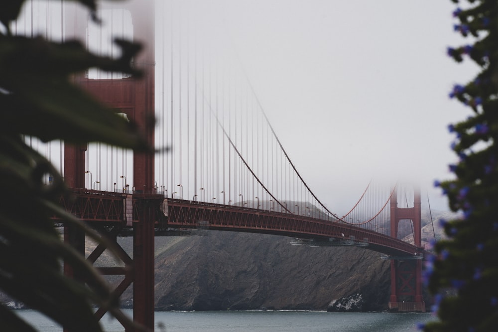 golden gate bridge san francisco