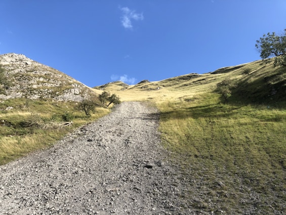 A rugged gravel driveway winding through freshly cleared rural land under a bright blue sky.