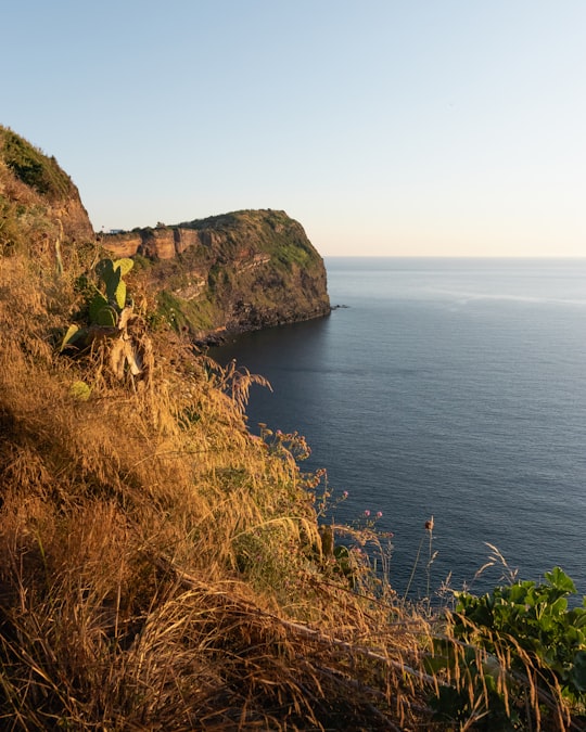 green grass on brown mountain near body of water during daytime in Ventotene Island Italy