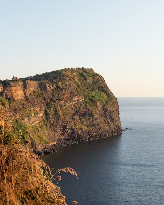 brown and green mountain beside body of water during daytime in Ventotene Island Italy