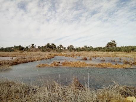 A serene landscape depicting the essence of Senegalese culture.