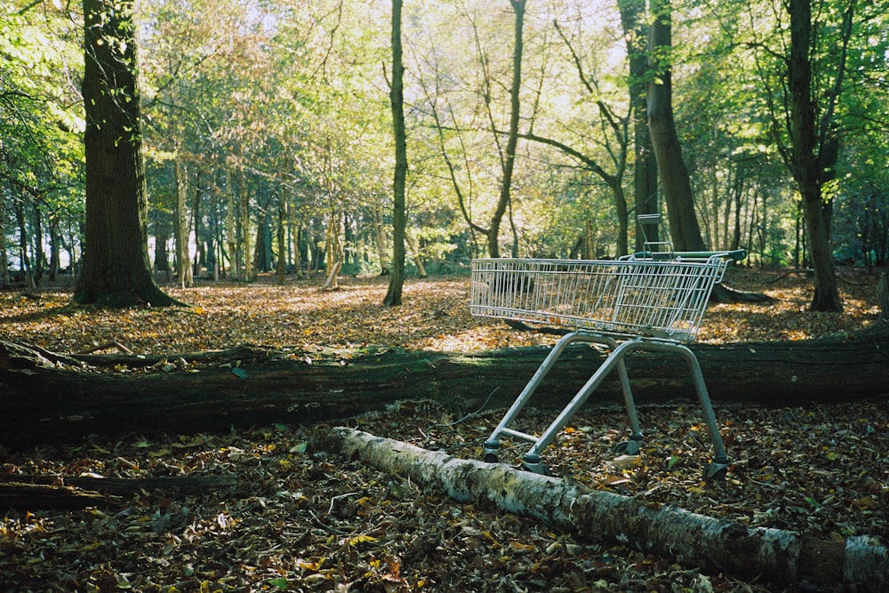 gray metal shopping cart on forest during daytime