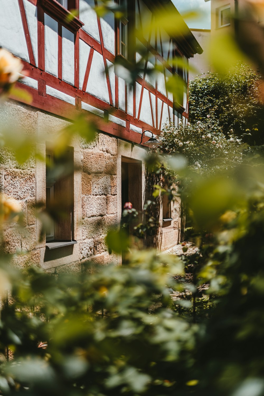 Plantes vertes à côté d’un bâtiment en béton brun pendant la journée