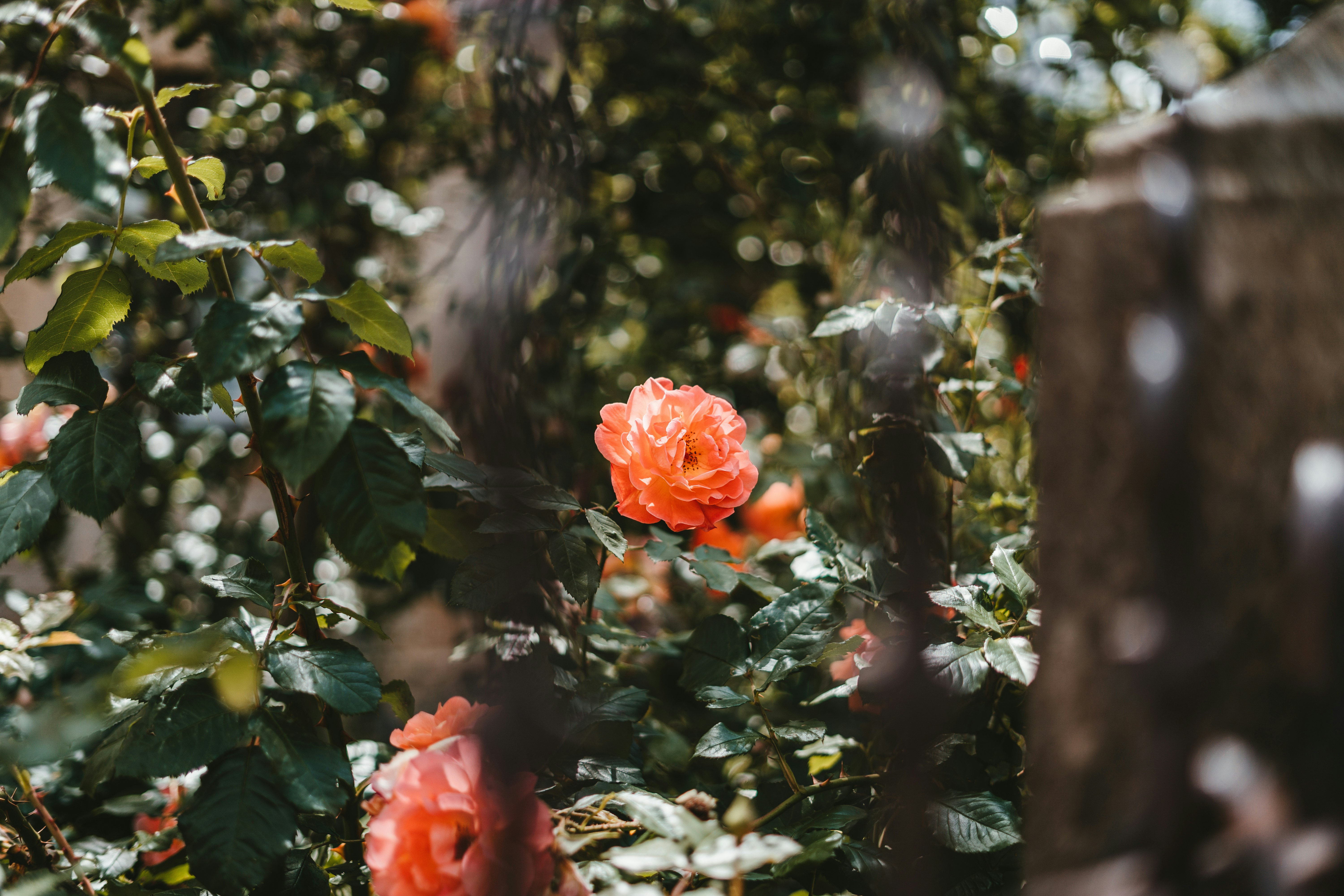 Photo by julianhochgesang