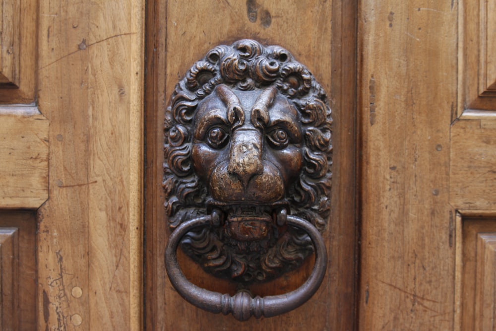 brown wooden door with brass door knob