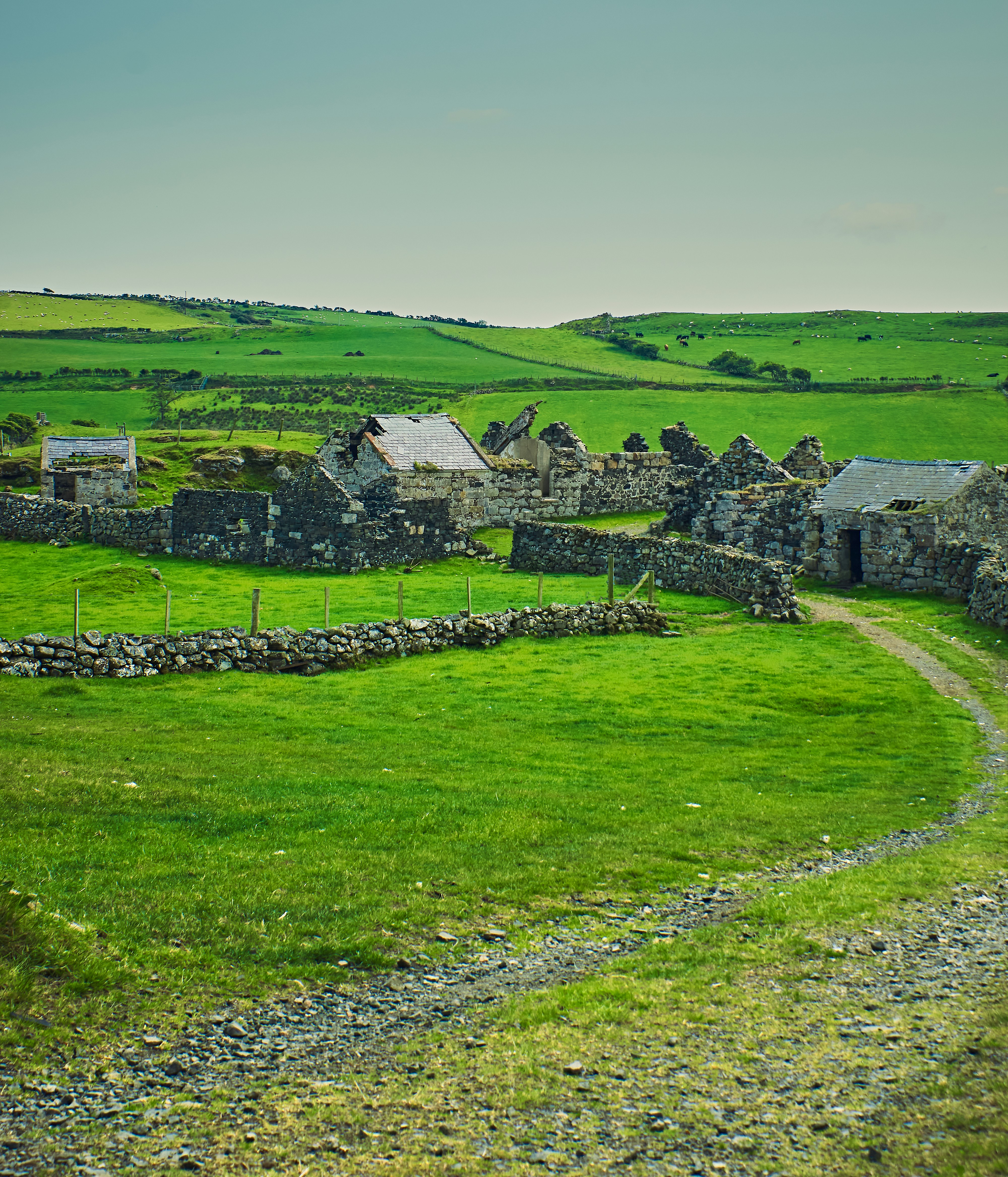 Idyllic pastoral scene at  the ruins of an abandoned farmhouse atop Fair Head in the Glens of Antrim (Jun., 2020).