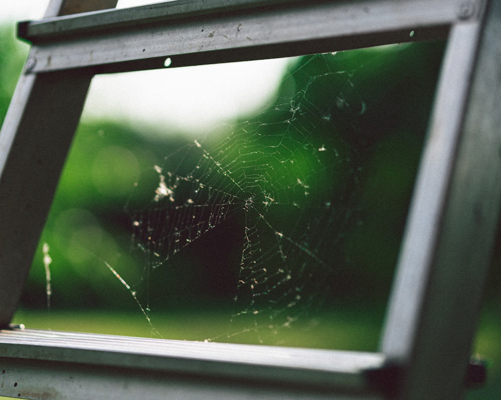 a spider web sits in a window pane