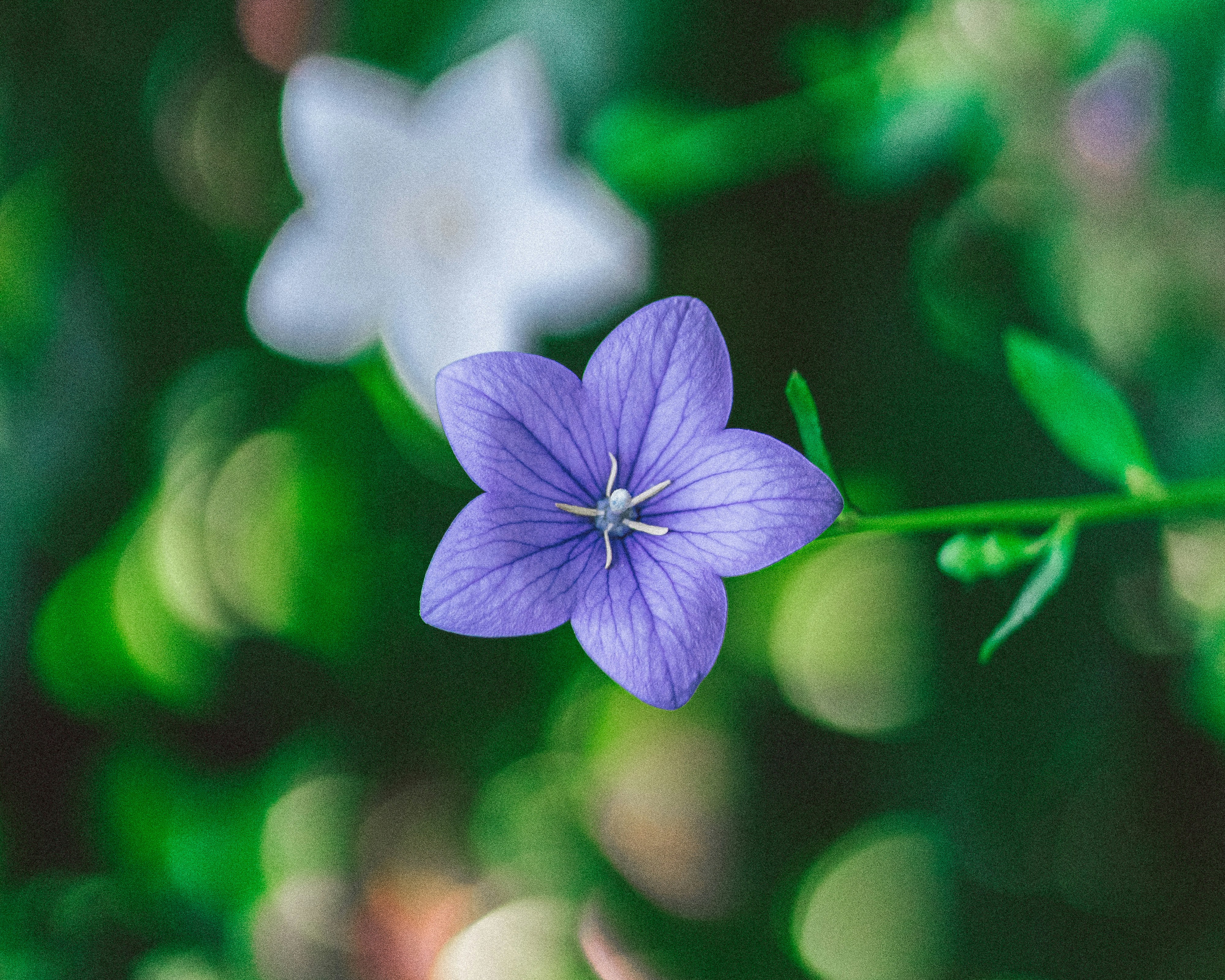 Photo by eugenechystiakov