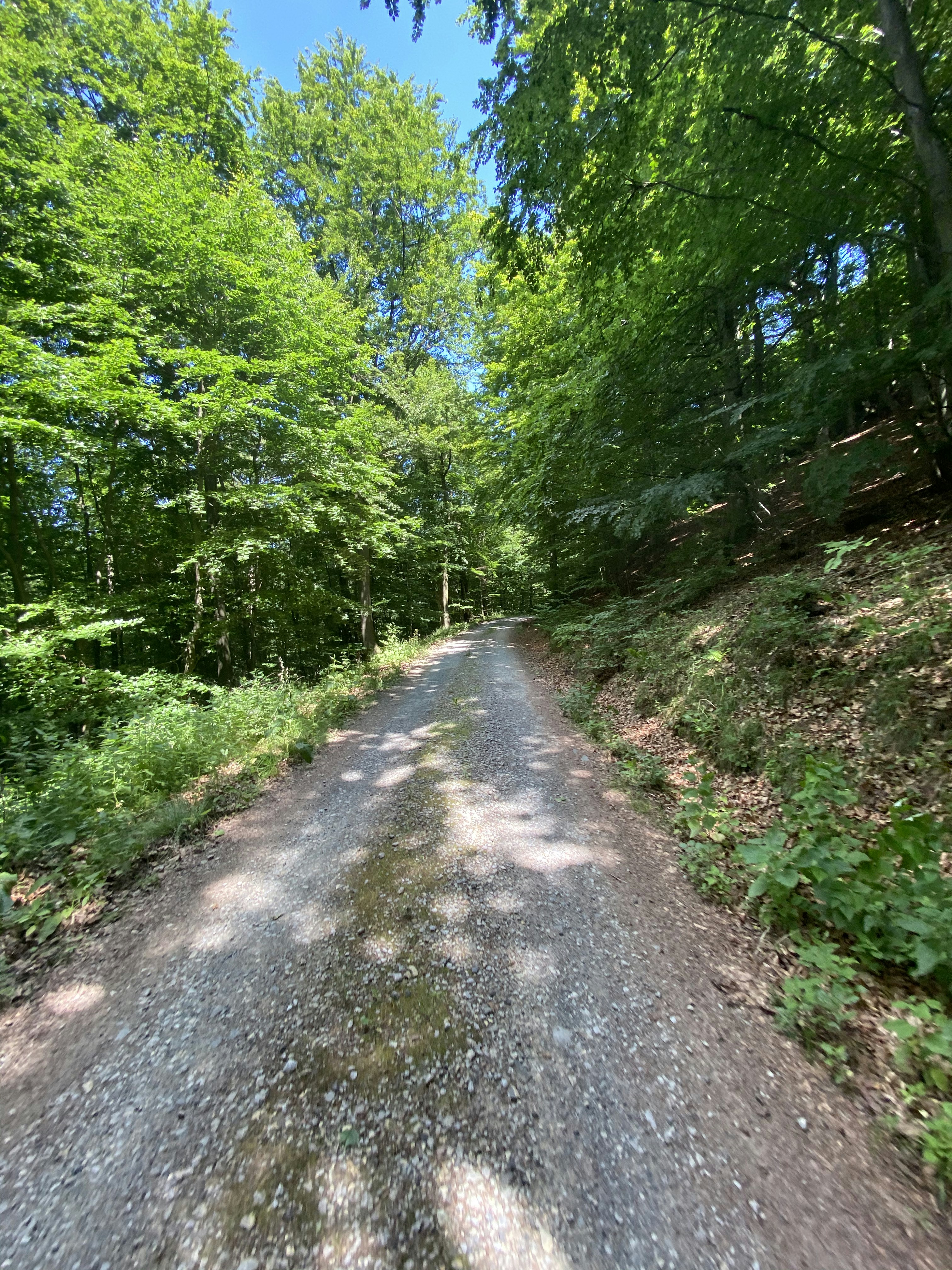 Photo by frank041985