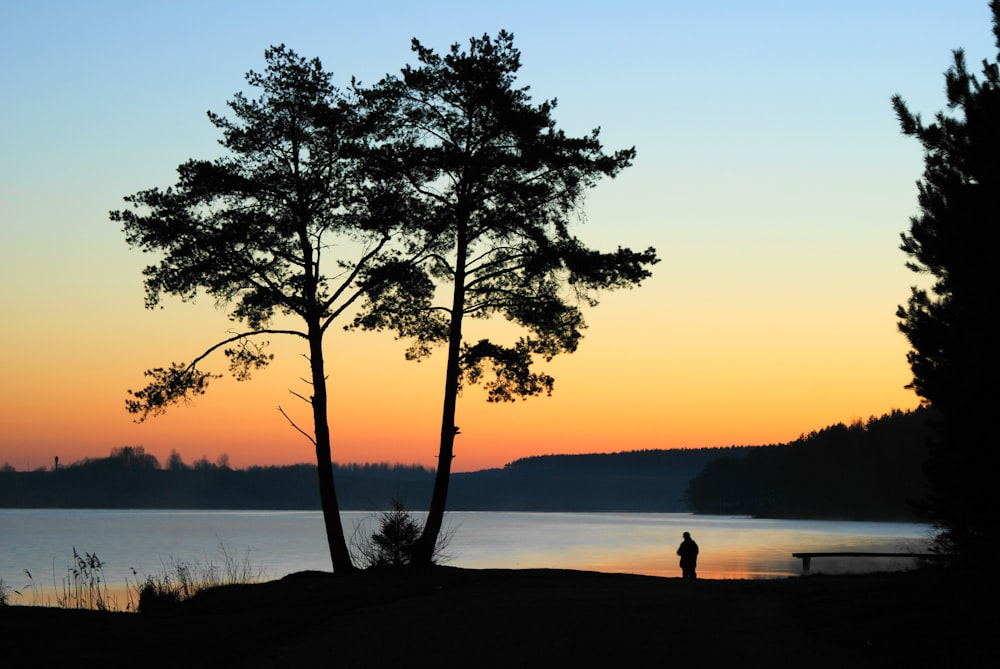 silhouette of person standing near body of water during sunset