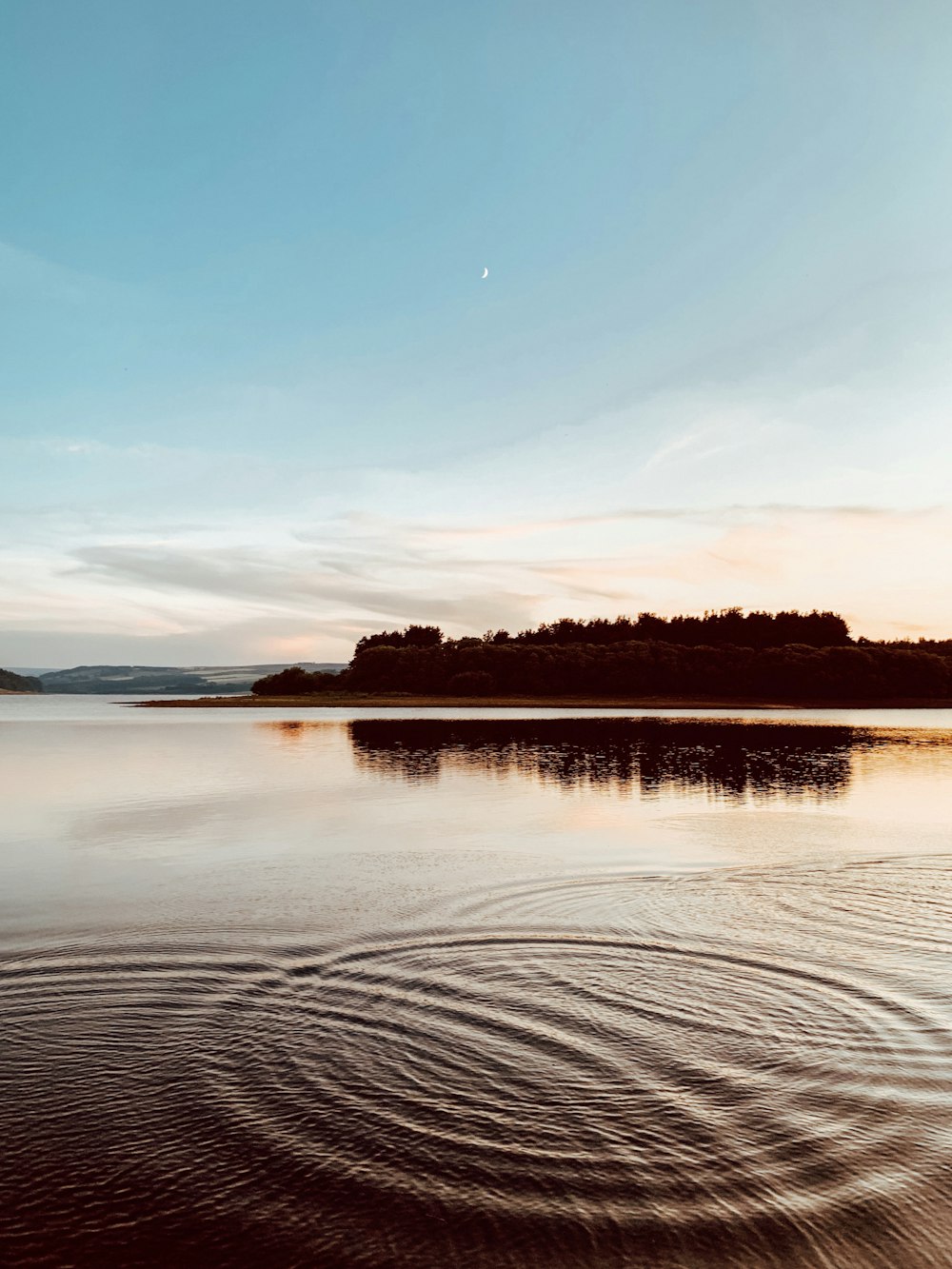 body of water near trees during daytime