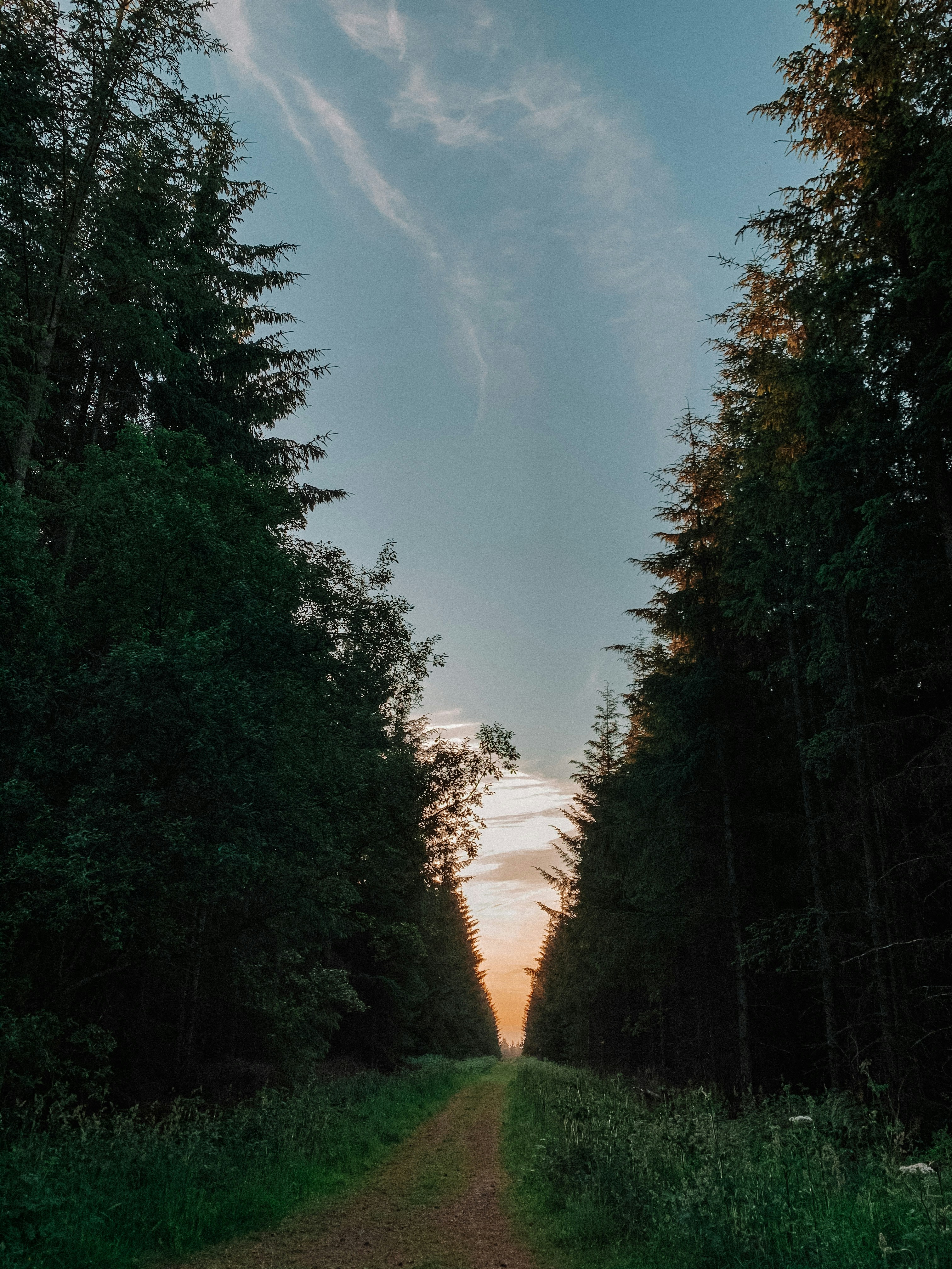 Photo by heftiba