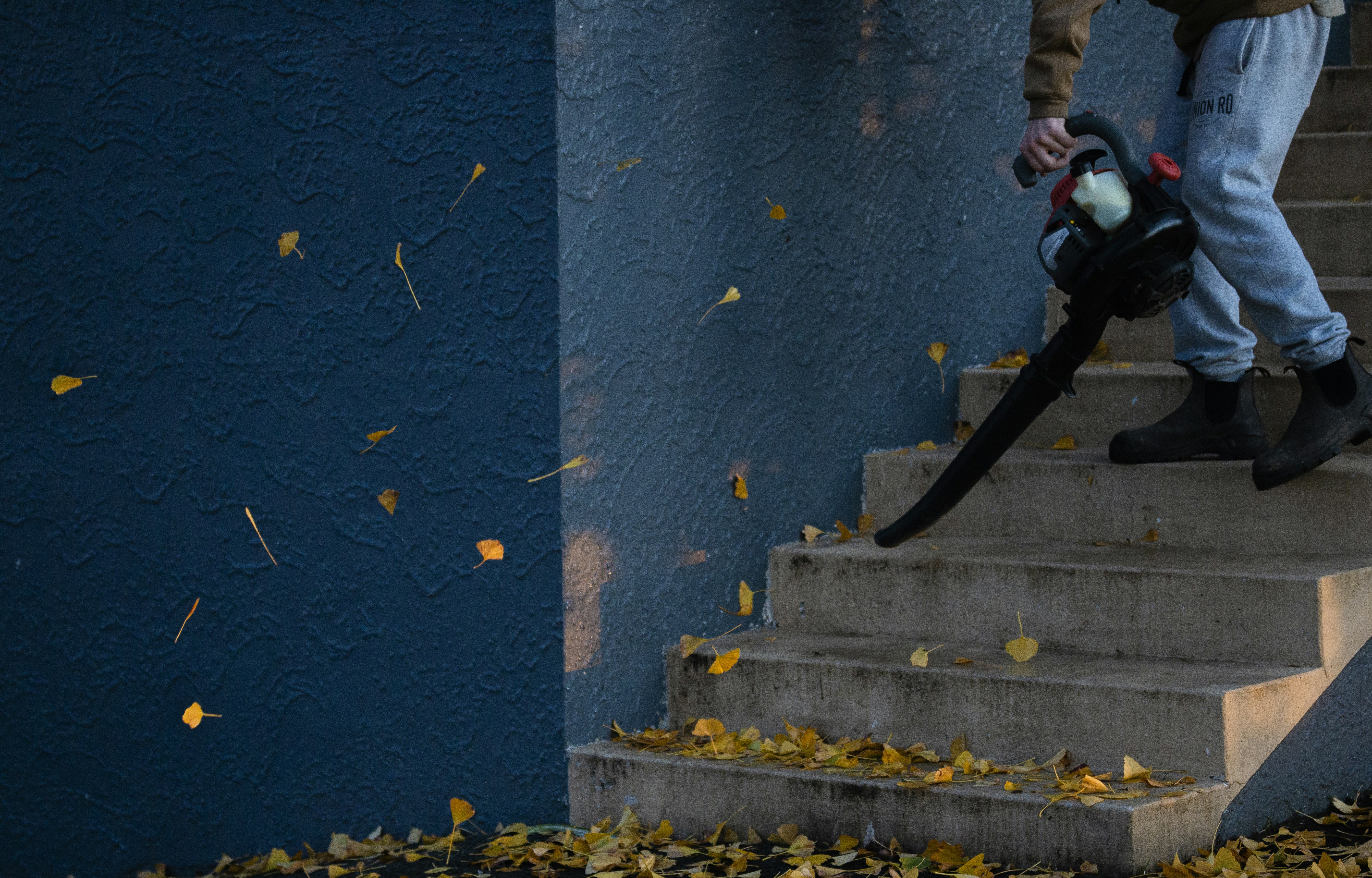 stairs being blown down by a leaf blower