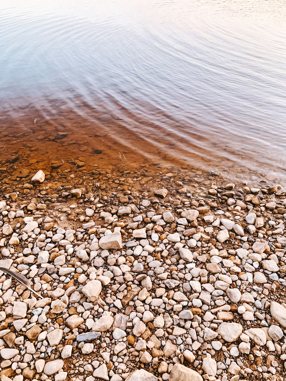 brown and white stones near body of water during daytime