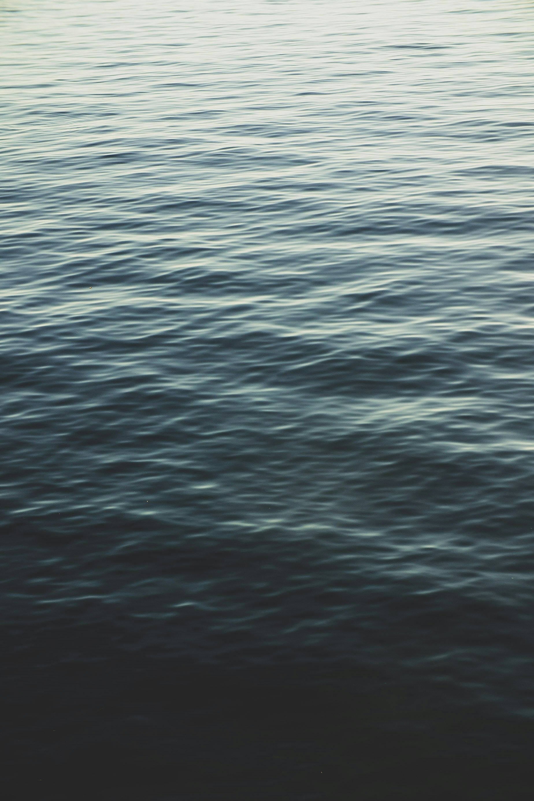 Photo by charliefirth