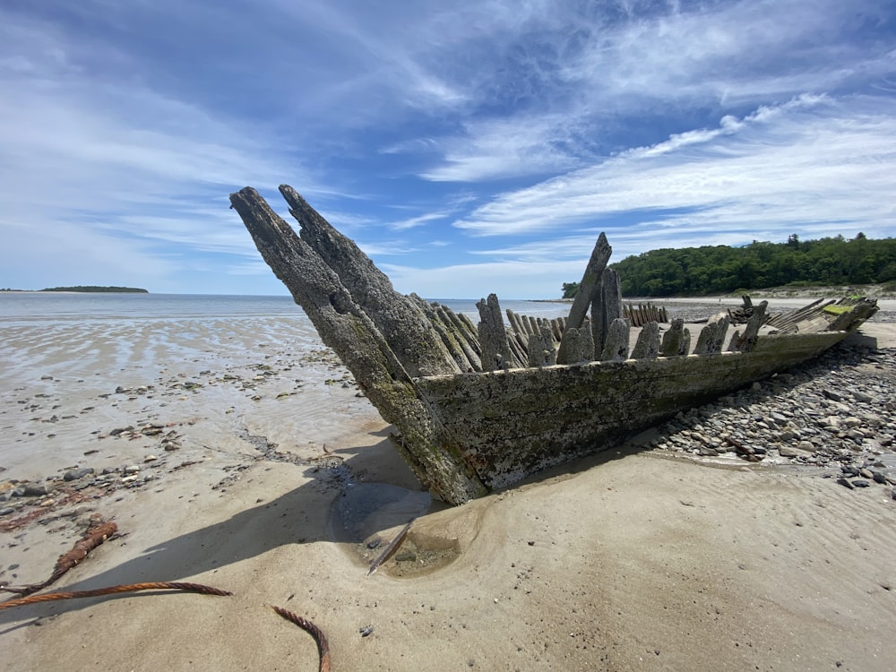 tronco de madeira marrom na praia durante o dia