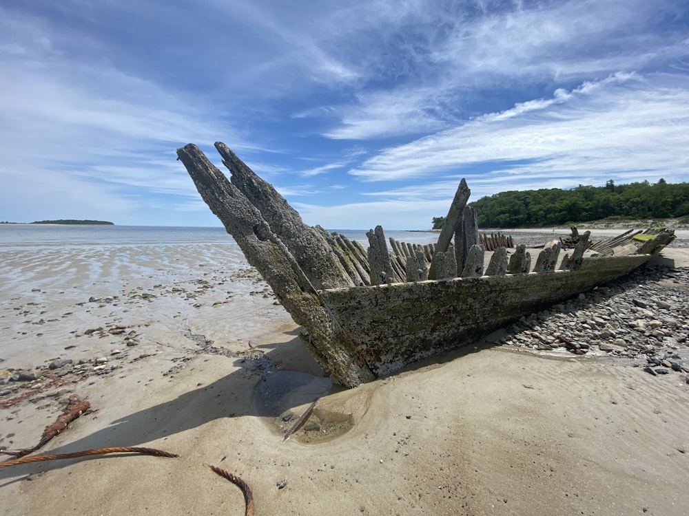 brown wooden log on beach during daytime