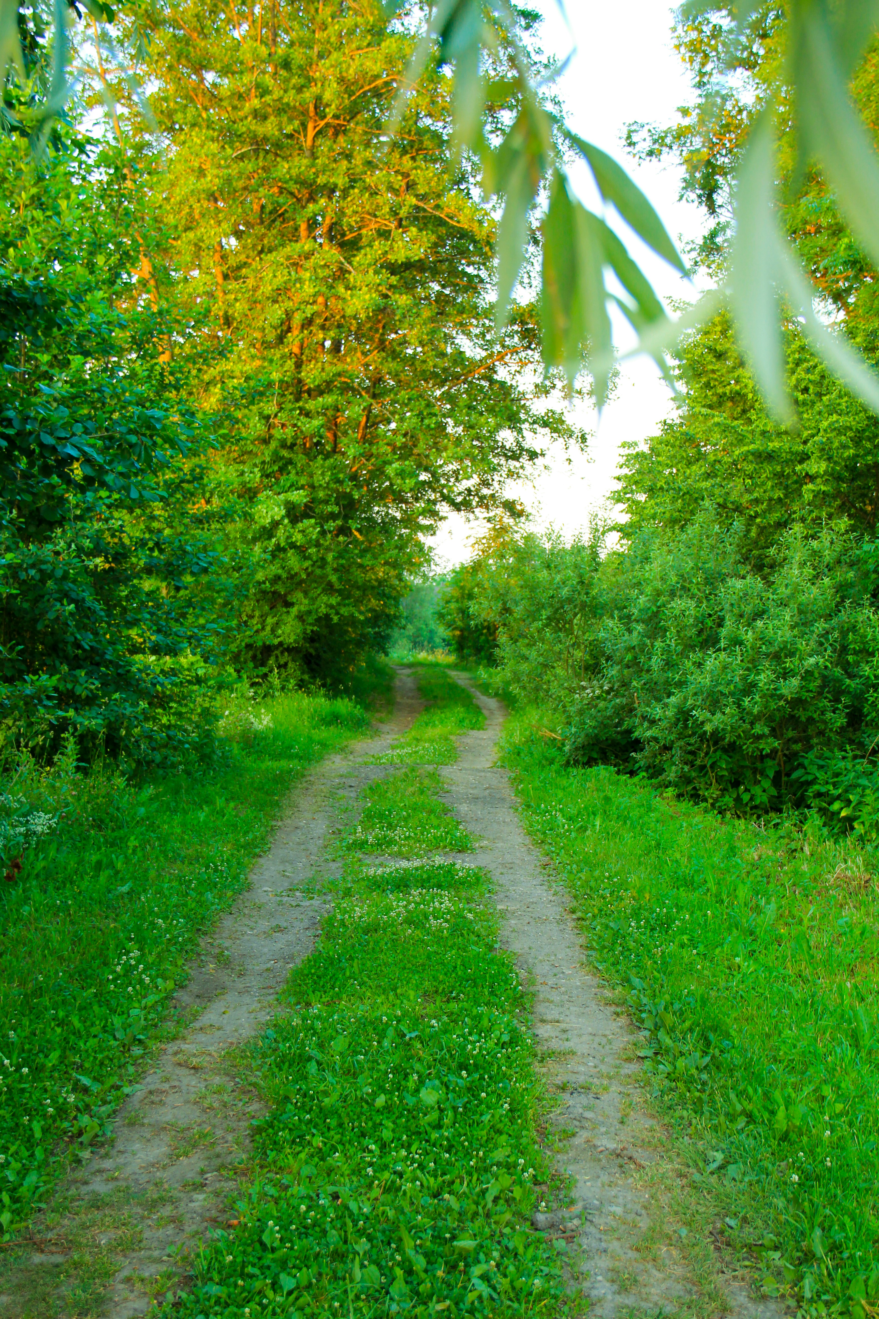 Photo by kaigabriel42