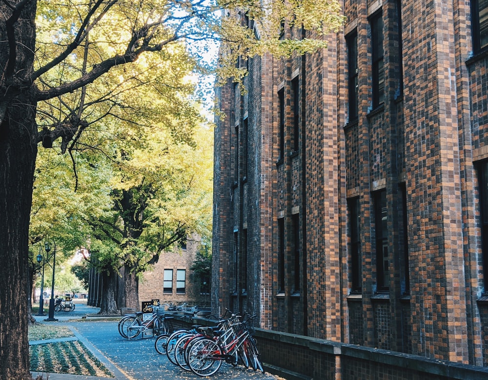 bicycle parked beside brown concrete building during daytime