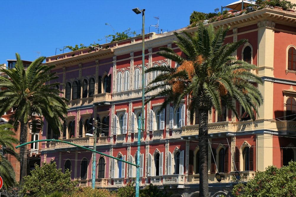 Palma verde vicino all'edificio in cemento bianco durante il giorno