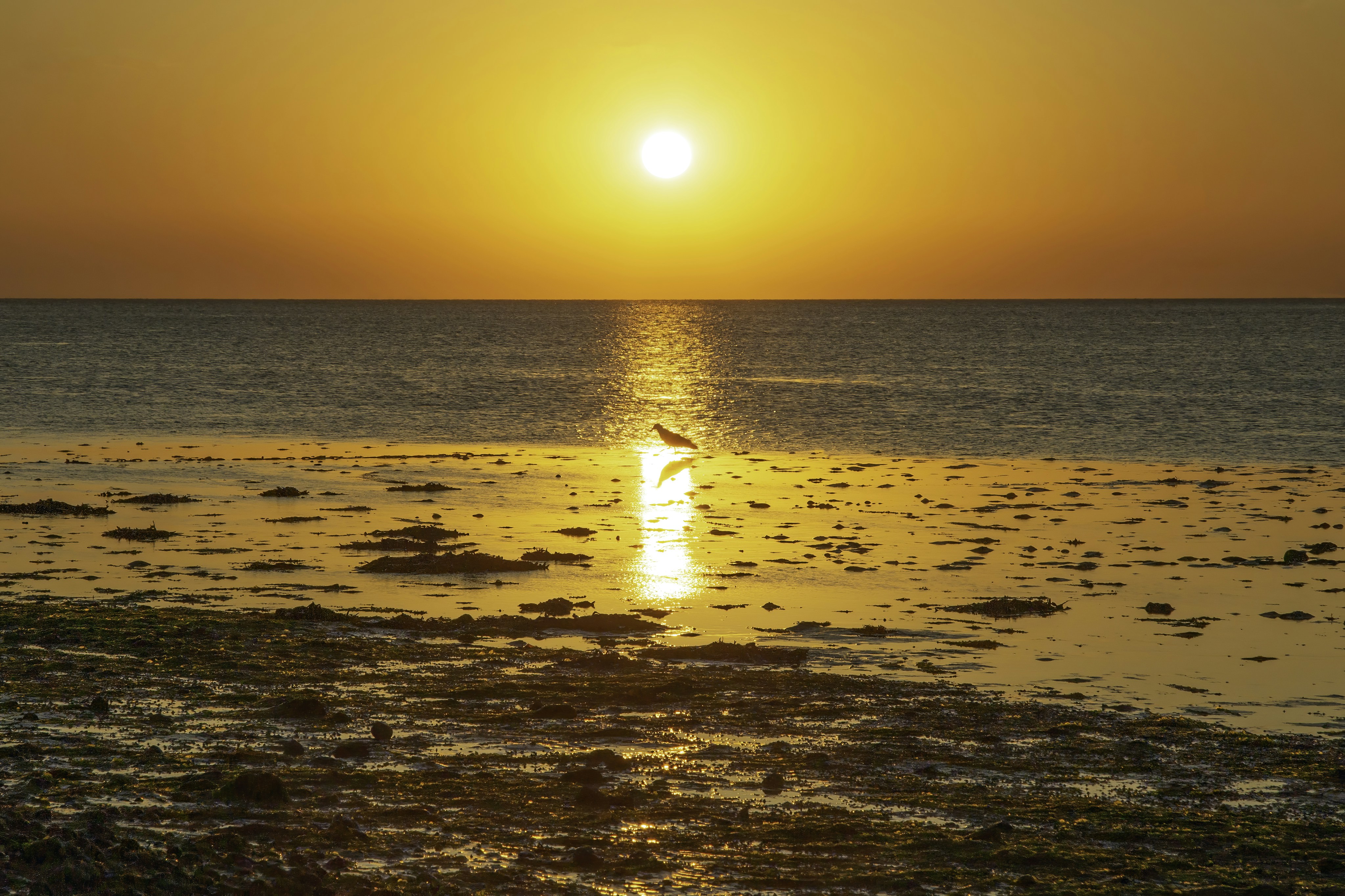 Photo by robanderson72