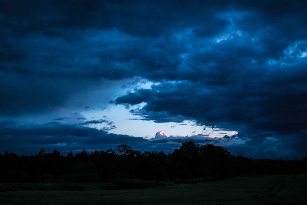 árboles verdes bajo nubes grises