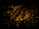 Glowing coals with a dark background create a warm, fiery effect. Randomly scattered, pieces of coal emit a bright orange-yellow hue, providing a contrast against the surrounding darkness.
